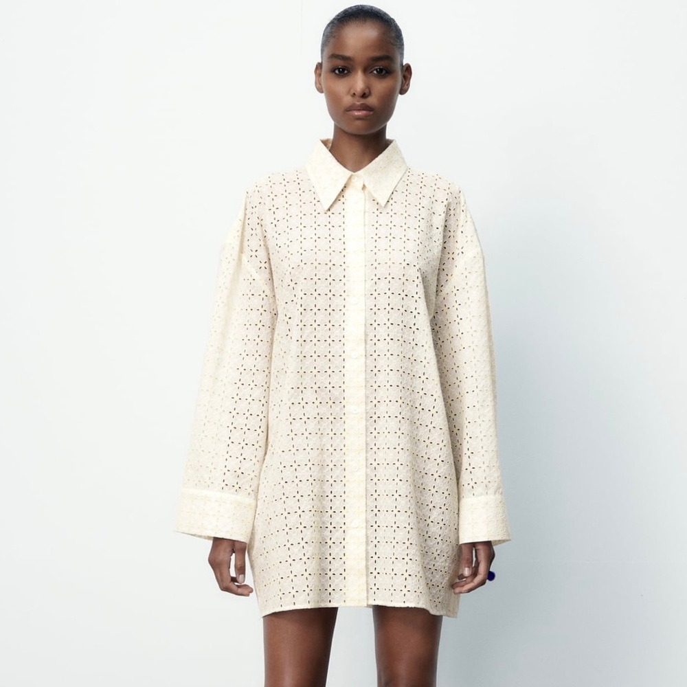 Zara Oversized Embroidered Blouse